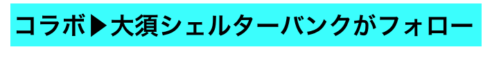 コラボ▶大須シェルターバンクがフォロー